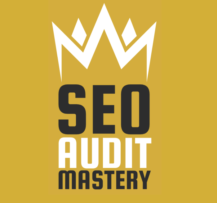 Olga Zarr – SEO Audit Mastery – Courses24h.com